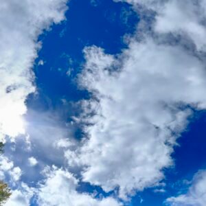 Where Autumn Dreams Begin