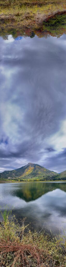 Voices in the Golden Forest