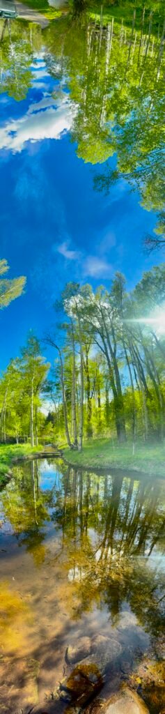 Reaching Toward the Sky