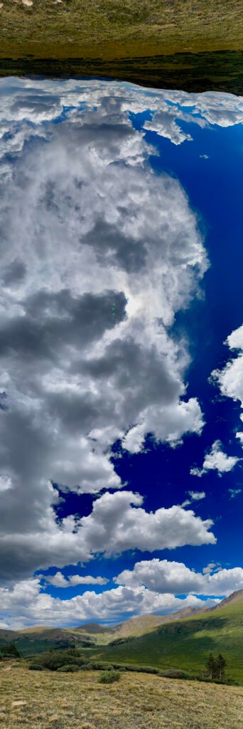 Light Through the Quiet Woods