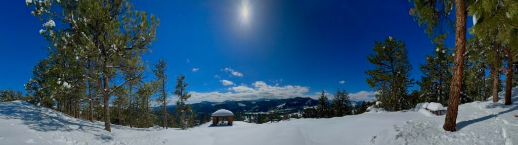 Quiet Keeper of Winter
