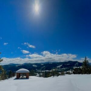 Quiet Keeper of Winter