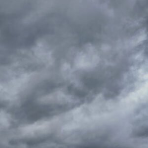 Fences of Forgotten Paths