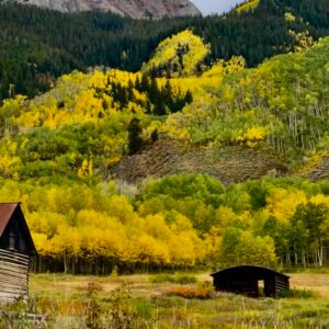 Autumn’s Fierce Heart