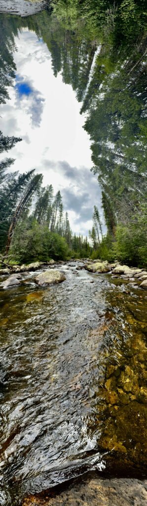 Soft Light on the Ridge