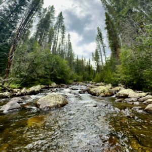 Soft Light on the Ridge