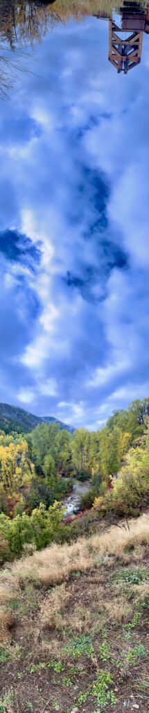 Autumn Leaning into Evening