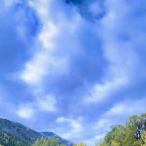 Autumn Leaning into Evening