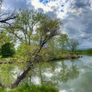 Breath Before Nightfall