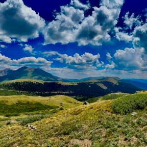 Stillness Before the Shift