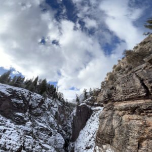 The Stillness in the Snow