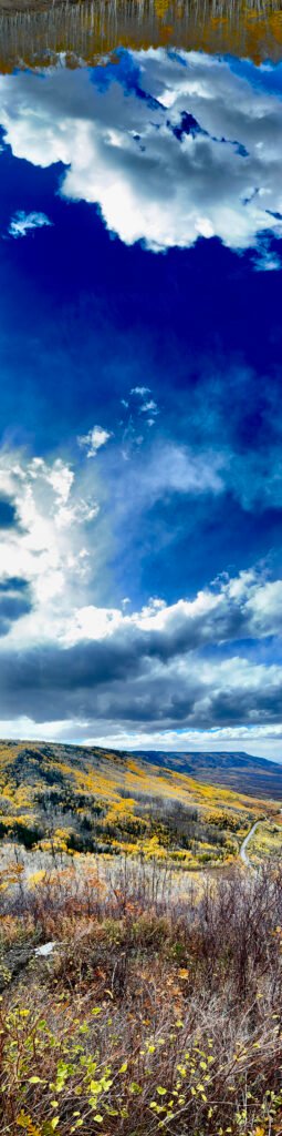 Path Beneath the Turning Leaves