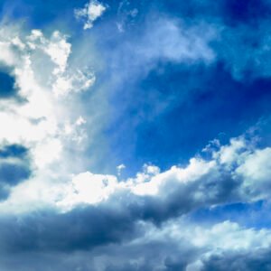 Path Beneath the Turning Leaves