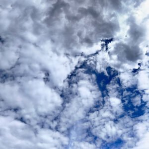 Wind Across the Aspen Ridge