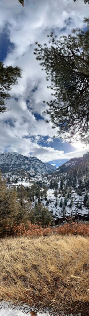 Winter Walls in the Wind