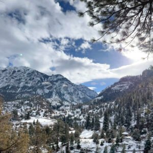 Winter Walls in the Wind